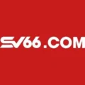 Sv66333 com – Kỷ Niệm 10 Năm Thành Lập Nhận Ưu Đãi 8000tỷ